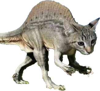 cat emote for Discord