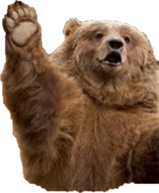 bear emote for Discord