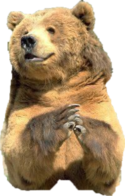 bear emote for Discord