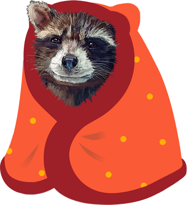RocketInABlanket emote for Discord