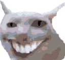 bonkcatsmile emote for Discord