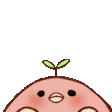 Peek emote for Discord