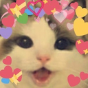 lovecat emote for Discord