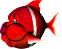 bloob emote for Discord