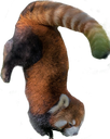 redpanda_facepalm emote for Discord