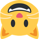 upsidedown_cat emote for Discord