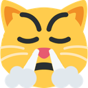 triumph_cat emote for Discord