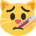 thermometer_cat emote for Discord