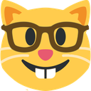 nerd_cat emote for Discord