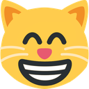 grin_cat emote for Discord