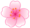 sakura_flower emote for Discord