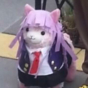llama_kirigiri emote for Discord