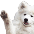 Wave_Doggo emote for Discord