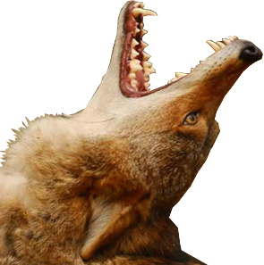 aaaaa emote for Discord