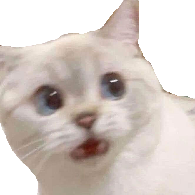 ayo_wtf_bro emote for Discord