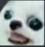 wtf emote for Discord