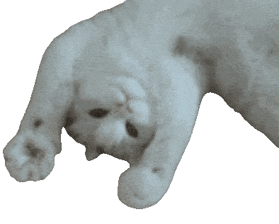 Hellow emote for Discord