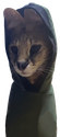 insognitofloppa emote for Discord