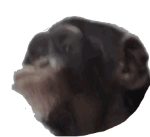 monke_pog emote for Discord