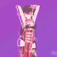 beidou_phuthon emote for Discord