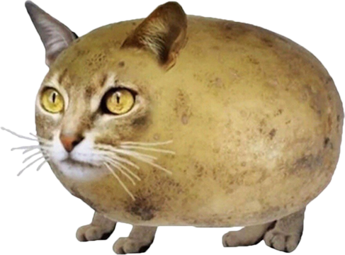 chilipizdrik emote for Discord
