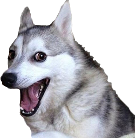 pun_dog emote for Discord