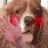 Spaniel_Waving_Welcome emote for Discord