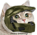 HypeCat emote for Discord