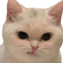catDisgust emote for Discord