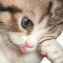 catCrai emote for Discord