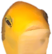 zikefish_shocked emote for Discord