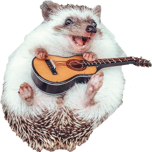 hedgehog emote for Discord