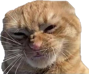cat emote for Discord