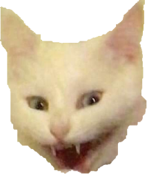 cat emote for Discord