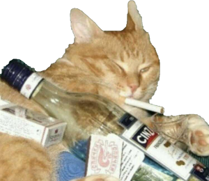 cat emote for Discord
