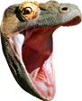 KomodoHype emote for Discord