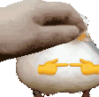 isforpat emote for Discord