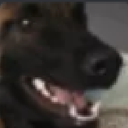 Jooni emote for Discord