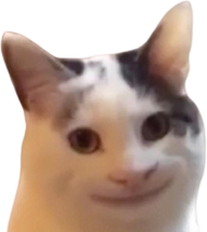 HappyCat emote for Discord