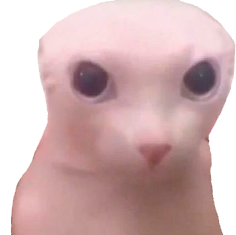 bingus emote for Discord
