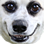 dogolacloser emote for Discord