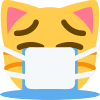 crying_mask_cat emote for Discord