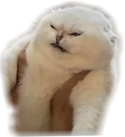 rrrr emote for Discord