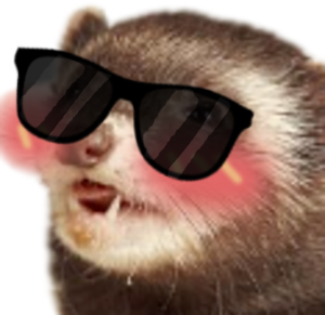 ferretsunglass emote for Discord
