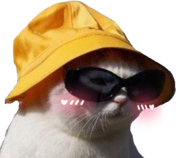 cathatblush emote for Discord