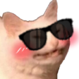 cattosunglass emote for Discord