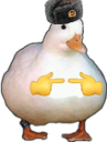 isforus emote for Discord