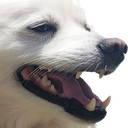 kaka_snowball emote for Discord