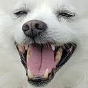 snowball emote for Discord