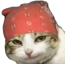 rigato emote for Discord